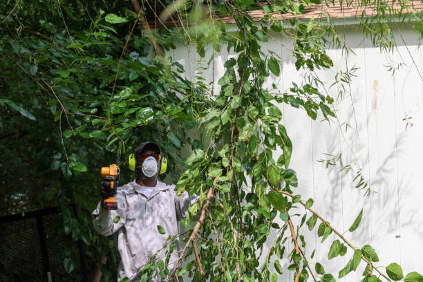 Best Tree Risk Assessment  in North Haledon, NJ